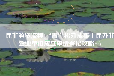 民非验资流程(“青”松办成事丨民办非企业单位成立申请登记攻略~)