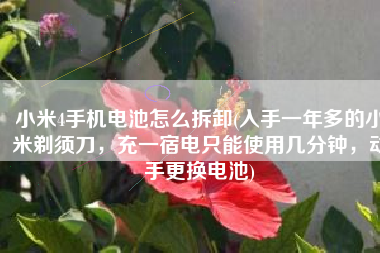 小米4手机电池怎么拆卸(入手一年多的小米剃须刀，充一宿电只能使用几分钟，动手更换电池)