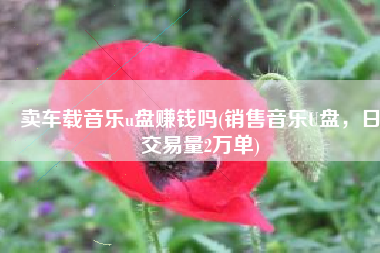 卖车载音乐u盘赚钱吗(销售音乐U盘，日交易量2万单)