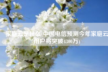家庭云是什么(中国电信预测今年家庭云用户将突破4300万)