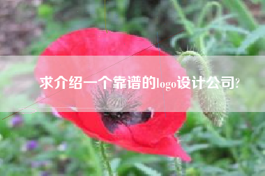 求介绍一个靠谱的logo设计公司?
