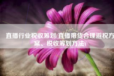 直播行业税收筹划(直播带货合理避税方案、税收筹划方法)