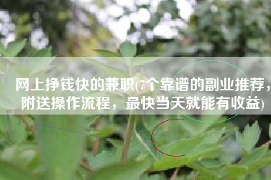 网上挣钱快的兼职(7个靠谱的副业推荐，附送操作流程，最快当天就能有收益)