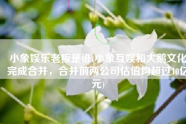 小象娱乐老板是谁(小象互娱和大鹅文化完成合并，合并前两公司估值均超过10亿元)