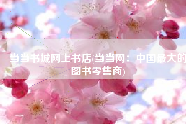 当当书城网上书店(当当网：中国最大的图书零售商)