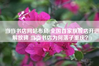 当当书店网站布局(全国首家旗舰店开进解放碑 当当书店为何落子重庆？)
