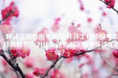 环评工程师报考条件(环评工程师报考条件有哪些？为什么这么多人报考环评工程师？)