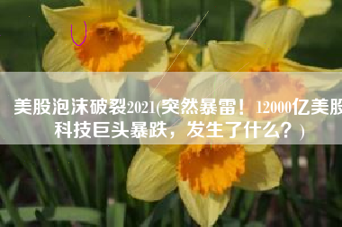 美股泡沫破裂2021(突然暴雷！12000亿美股科技巨头暴跌，发生了什么？)