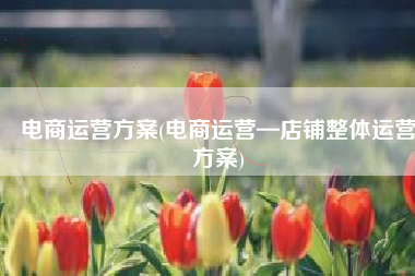 电商运营方案(电商运营—店铺整体运营方案)