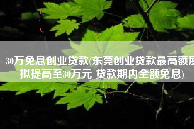 30万免息创业贷款(东莞创业贷款最高额度拟提高至30万元 贷款期内全额免息)