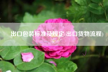 出口包装标准及规定(出口货物流程)
