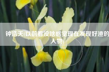 钟浩天(以前看没啥感觉现在发现好渣的人物)