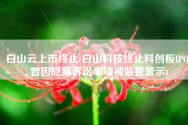 白山云上市终止(白山科技终止科创板IPO，曾因隐瞒诉讼事项被监管警示)