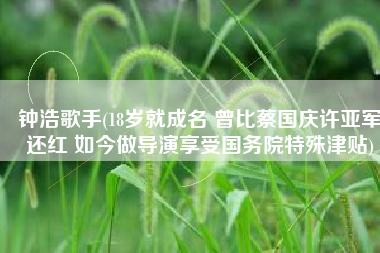 钟浩歌手(18岁就成名 曾比蔡国庆许亚军还红 如今做导演享受国务院特殊津贴)