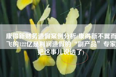 康得新财务造假案例分析(康得新不翼而飞的122亿是利润造假的“副产品”专家把这事儿说透了)