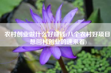 农村创业做什么好赚钱(八个农村好项目，想回村创业的速来看)