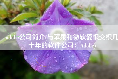 adobe公司简介(与苹果和微软爱恨交织几十年的软件公司：Adobe)