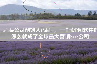 adobe公司创始人(Adobe，一个卖P图软件的怎么就成了全球最大营销SaaS公司)