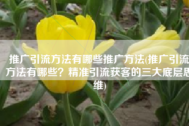 推广引流方法有哪些推广方法(推广引流方法有哪些？精准引流获客的三大底层思维)