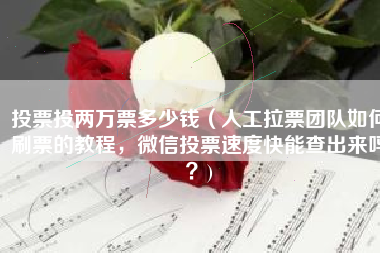 投票投两万票多少钱（人工拉票团队如何刷票的教程，微信投票速度快能查出来吗？)