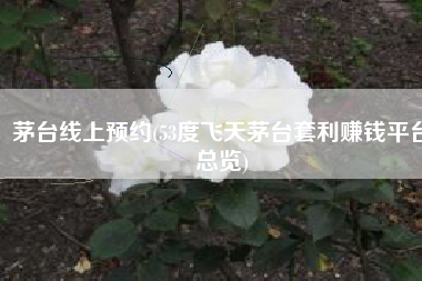 茅台线上预约(53度飞天茅台套利赚钱平台总览)