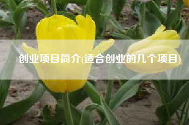 创业项目简介(适合创业的几个项目)