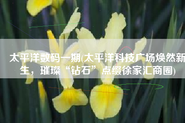 太平洋数码一期(太平洋科技广场焕然新生，璀璨“钻石”点缀徐家汇商圈)