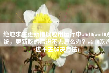 绝地求生更新错误应用运行中win10(win10系统，更新吃鸡后进不去怎么办？win10吃鸡进不去解决方法)