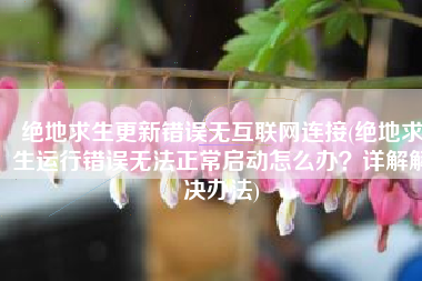 绝地求生更新错误无互联网连接(绝地求生运行错误无法正常启动怎么办？详解解决办法)