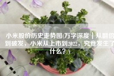 小米股价历史走势图(万字深度｜从翻倍到破发，小米从上市到2022，究竟发生了什么？)