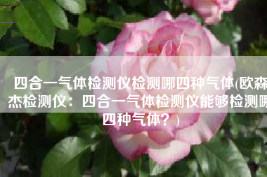 四合一气体检测仪检测哪四种气体(欧森杰检测仪：四合一气体检测仪能够检测哪四种气体？)