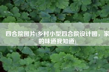四合院图片(乡村小型四合院设计图，家的味道我知道)