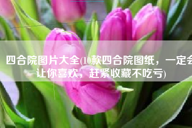 四合院图片大全(10款四合院图纸，一定会让你喜欢，赶紧收藏不吃亏)