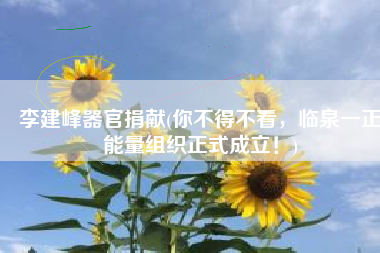 李建峰器官捐献(你不得不看，临泉一正能量组织正式成立！)