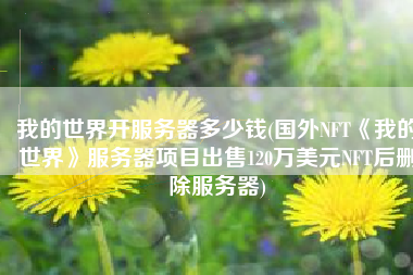 我的世界开服务器多少钱(国外NFT《我的世界》服务器项目出售120万美元NFT后删除服务器)
