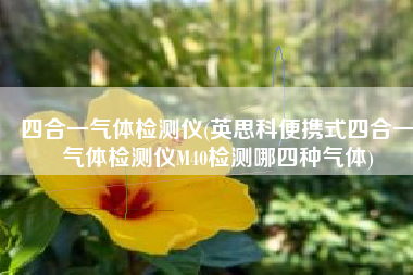 四合一气体检测仪(英思科便携式四合一气体检测仪M40检测哪四种气体)