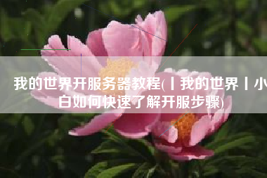 我的世界开服务器教程(丨我的世界丨小白如何快速了解开服步骤)