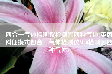 四合一气体检测仪检测哪四种气体(英思科便携式四合一气体检测仪M40检测哪四种气体)