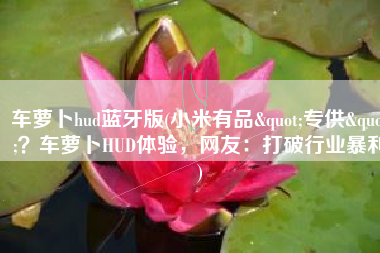 车萝卜hud蓝牙版(小米有品"专供"？车萝卜HUD体验，网友：打破行业暴利)