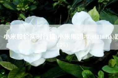 小米股价实时行情(小米集团-W(01810.HK)跌4.3%)