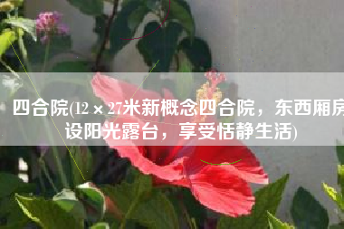 四合院(12×27米新概念四合院，东西厢房设阳光露台，享受恬静生活)
