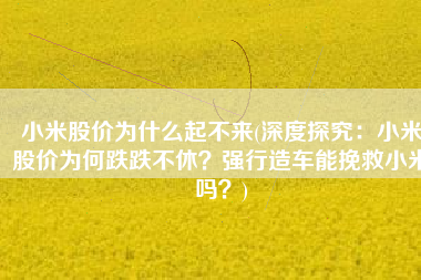 小米股价为什么起不来(深度探究：小米股价为何跌跌不休？强行造车能挽救小米吗？)