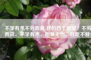 不学有术不劳而获(我的四个愿望：不劳而获、不学有术、相爱无伤、狂吃不胖)