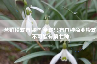 营销模式有哪些(全球只有六种商业模式，不可能有第七种)