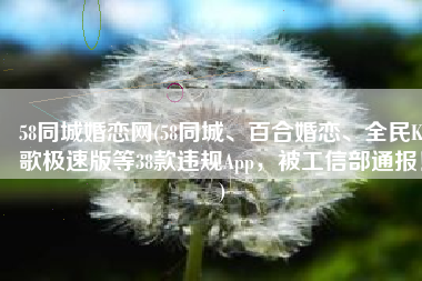 58同城婚恋网(58同城、百合婚恋、全民K歌极速版等38款违规App，被工信部通报！)