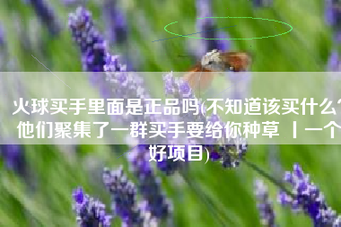 火球买手里面是正品吗(不知道该买什么？他们聚集了一群买手要给你种草 丨一个好项目)