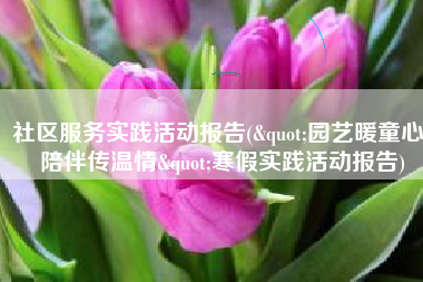 社区服务实践活动报告("园艺暖童心，陪伴传温情"寒假实践活动报告)