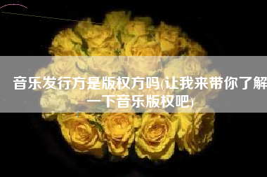 音乐发行方是版权方吗(让我来带你了解一下音乐版权吧)