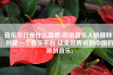音乐发行是什么意思(说唱音乐人杨蟒特：创建一个音乐平台 让全世界听到中国的原创音乐)