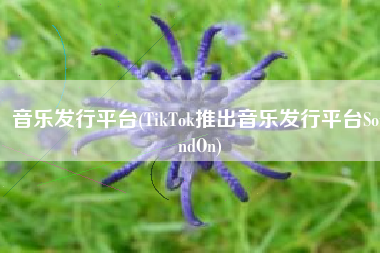 音乐发行平台(TikTok推出音乐发行平台SoundOn)